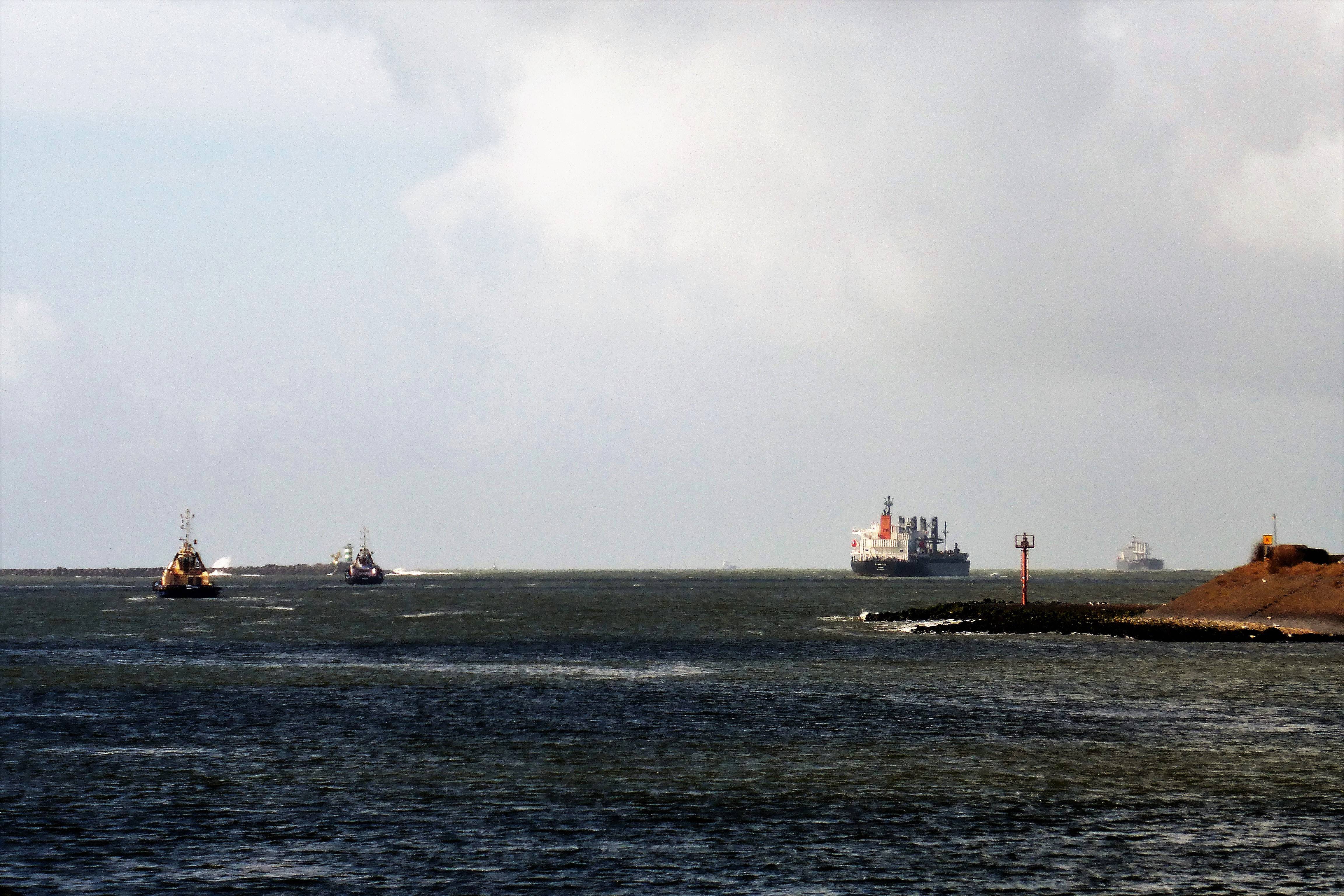 Pieren IJmuiden    08-03-19 